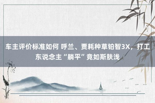 车主评价标准如何 呼兰、贾耗种草铂智3X，打工东说念主“躺平”竟如斯肤浅